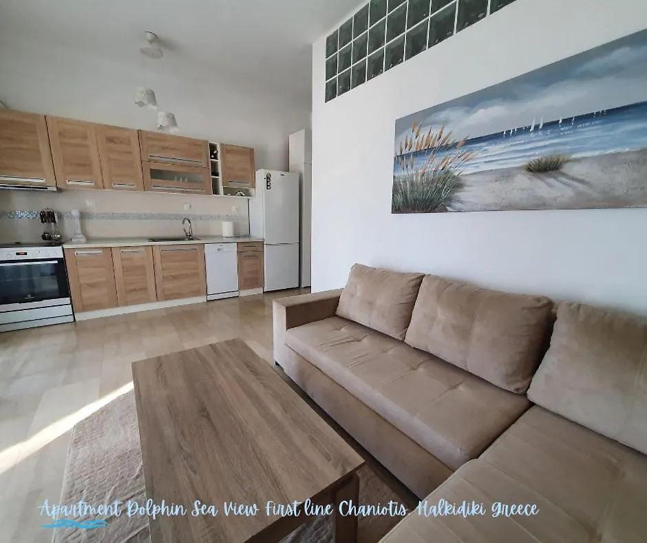 Apartment Dolphin Sea View And First Line Hanioti