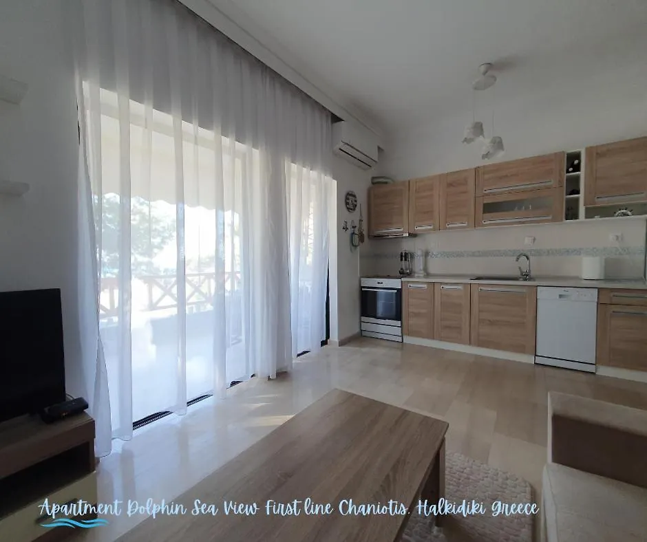 Apartment Dolphin Sea View And First Line Hanioti