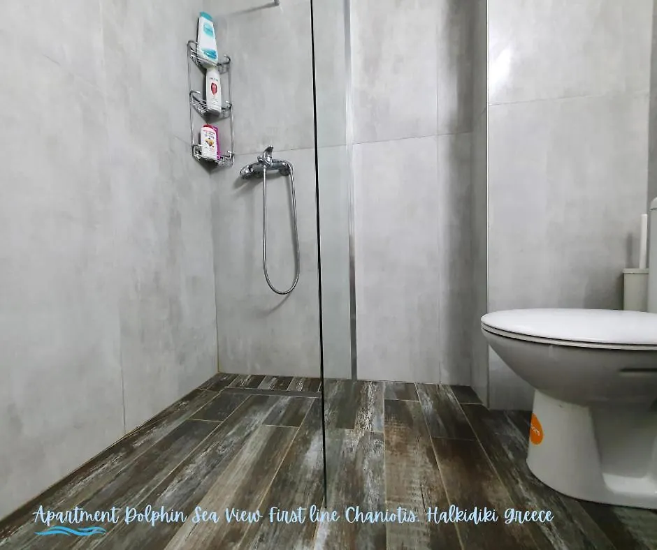 Apartment Dolphin Sea View And First Line Hanioti