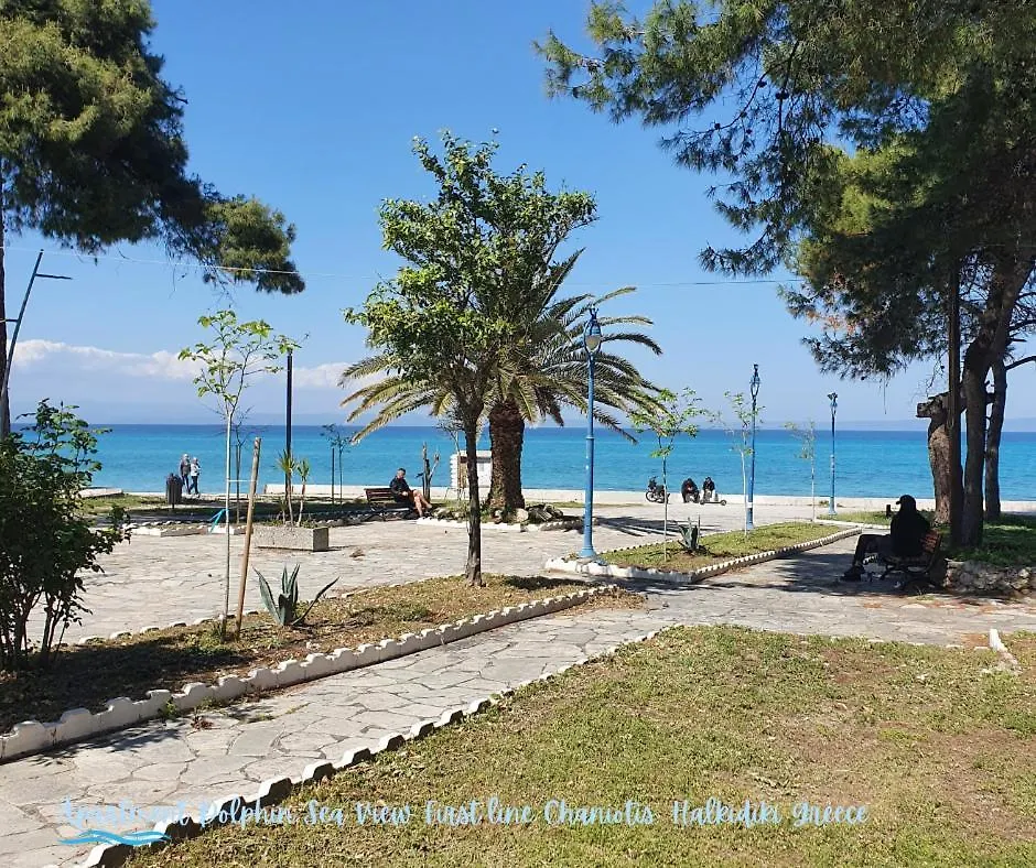 Apartment Dolphin Sea View And First Line Hanioti