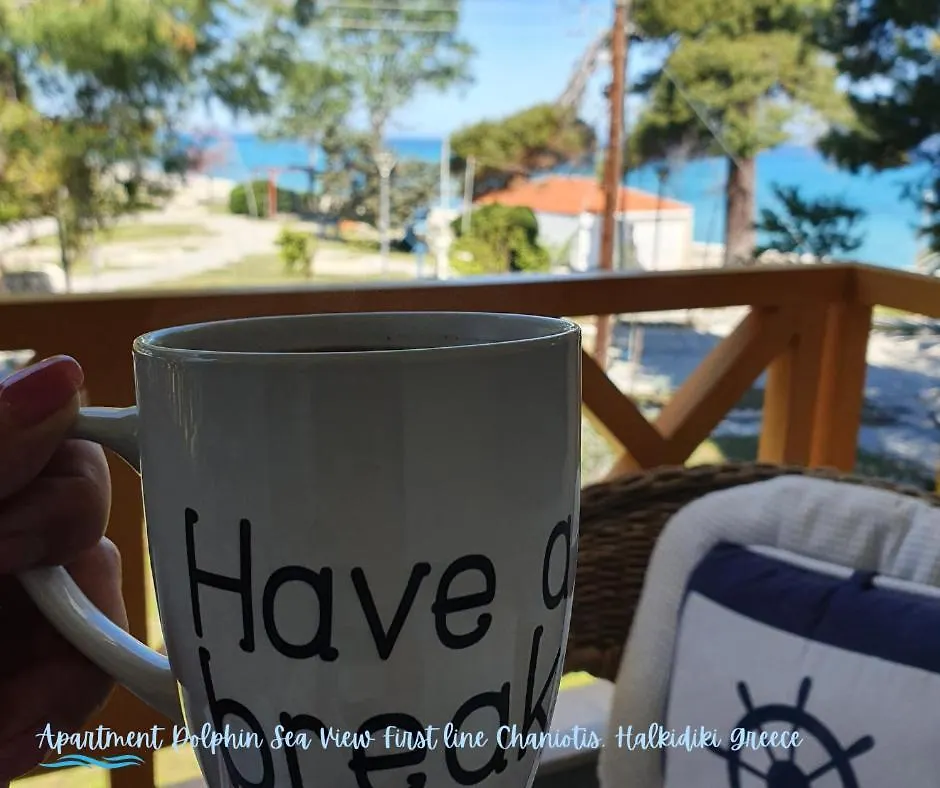 Apartment Dolphin Sea View And First Line Hanioti