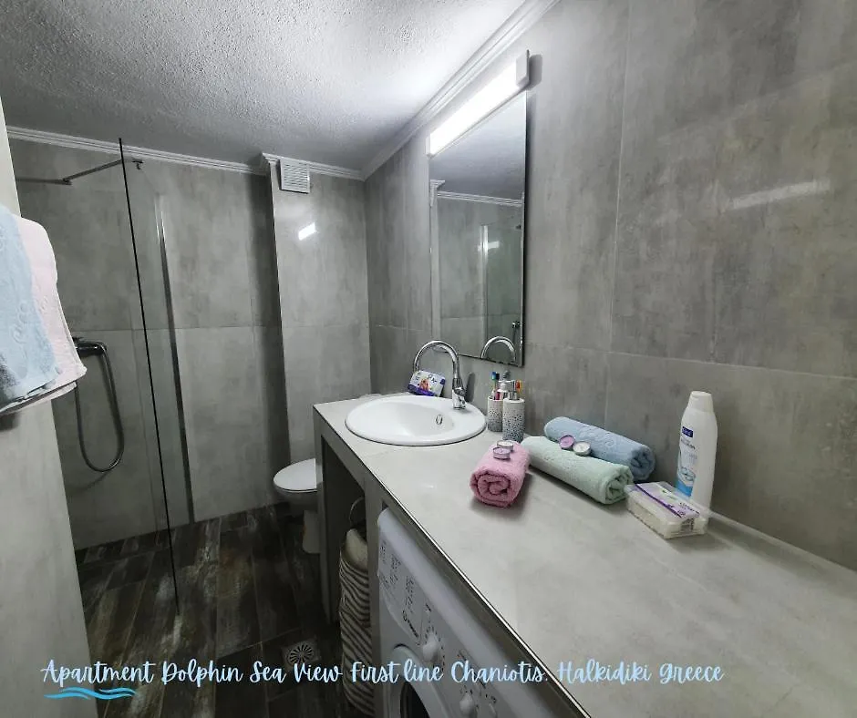 Apartment Dolphin Sea View And First Line Hanioti