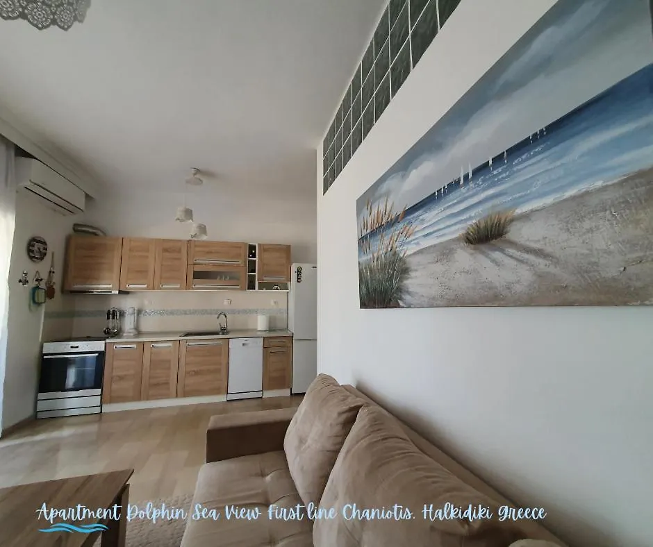 Apartment Dolphin Sea View And First Line Hanioti 0*,