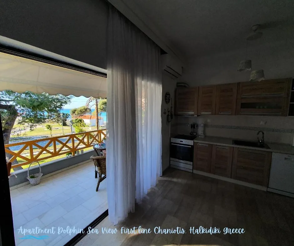 Apartment Dolphin Sea View And First Line Hanioti Greece