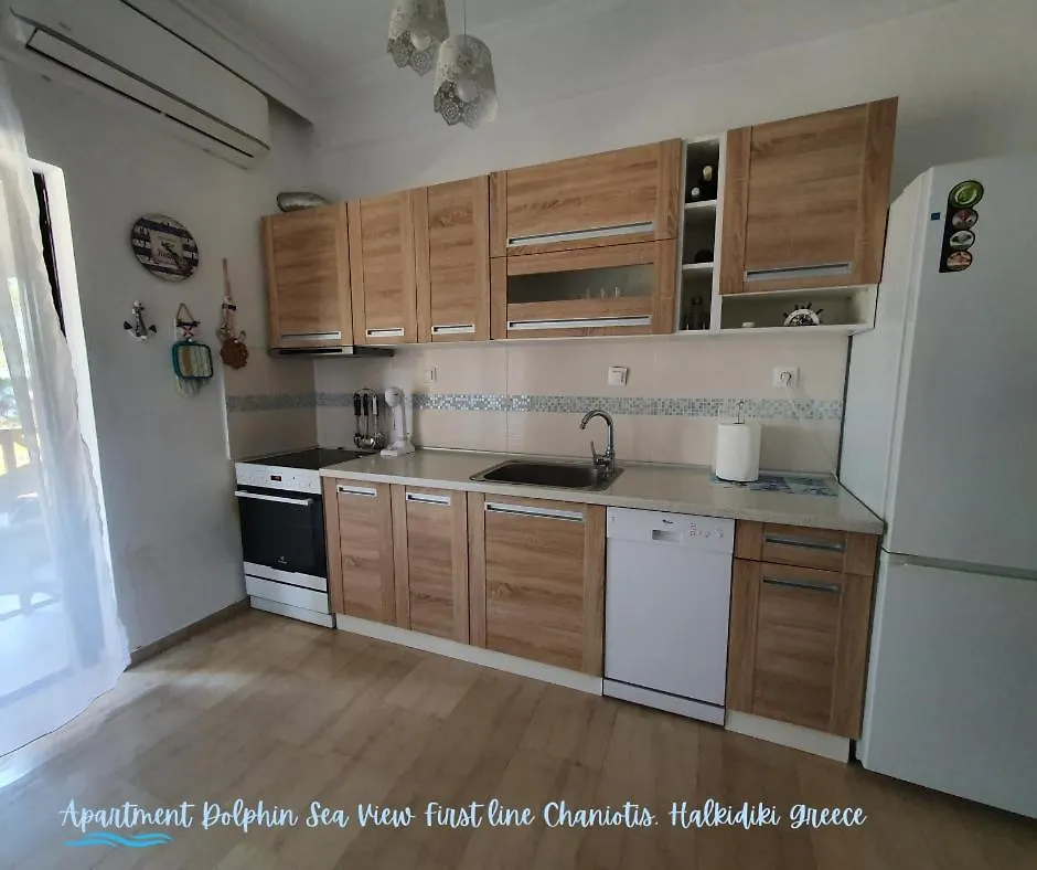 Apartment Dolphin Sea View And First Line Hanioti